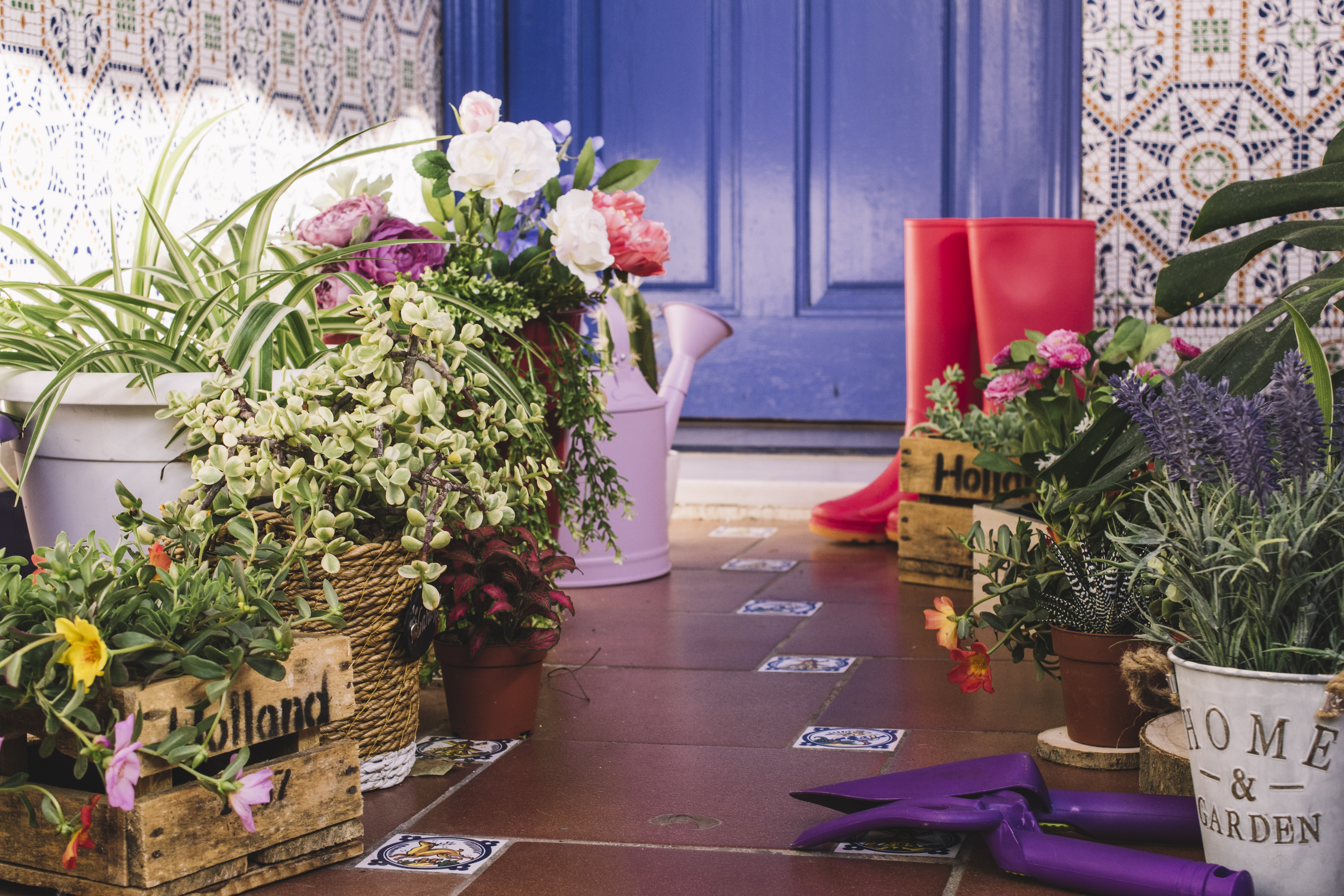 Коли садити інгредієнти на балконі чи в&nbsp;саду: весняний посібник