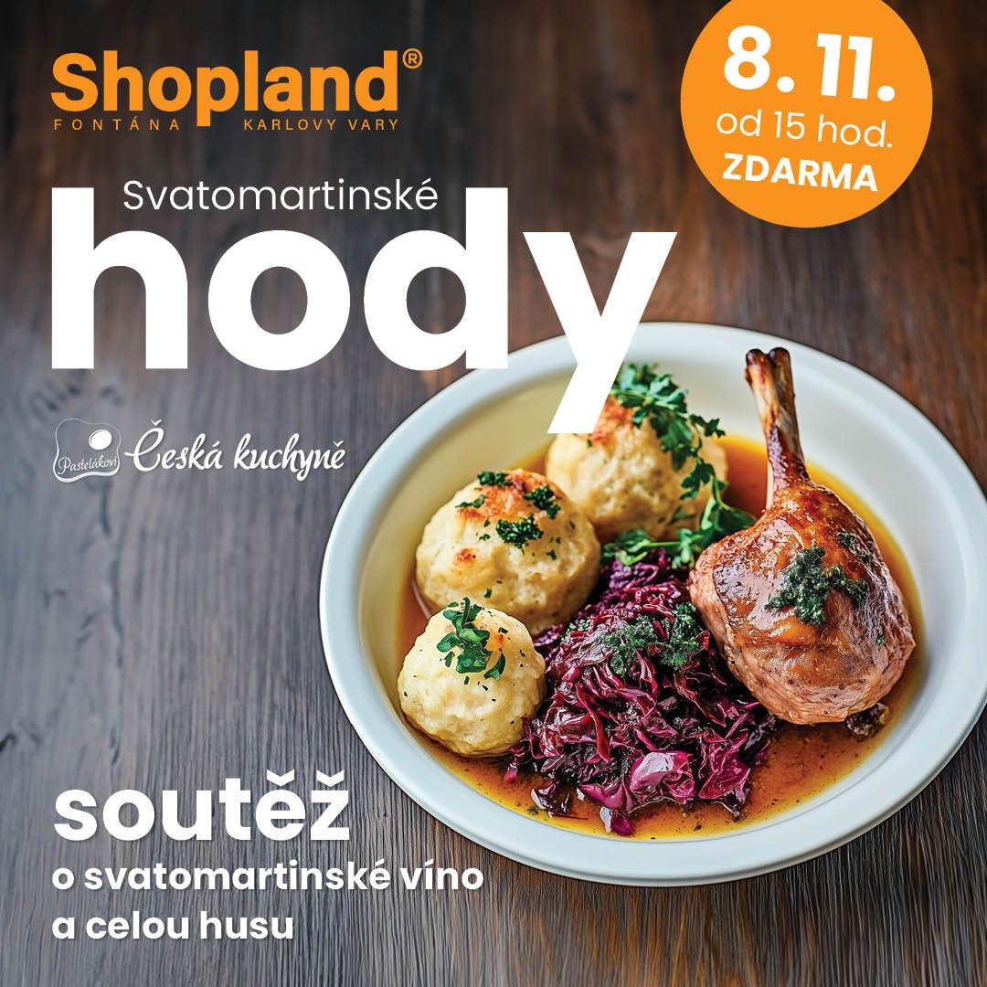 🎉 Přijďte oslavit Svatomartinské hody 🎉