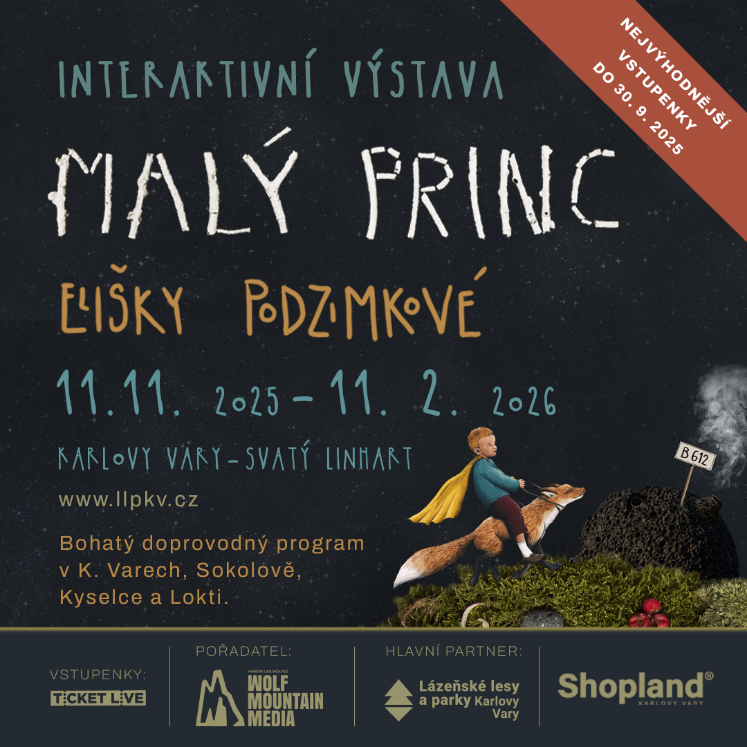 ✨ Interactive Exhibition The Little Prince by Eliška Podzimková ✨