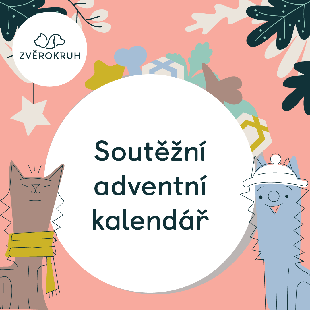 Soutěžní adventní kalendář Zvěrokruh