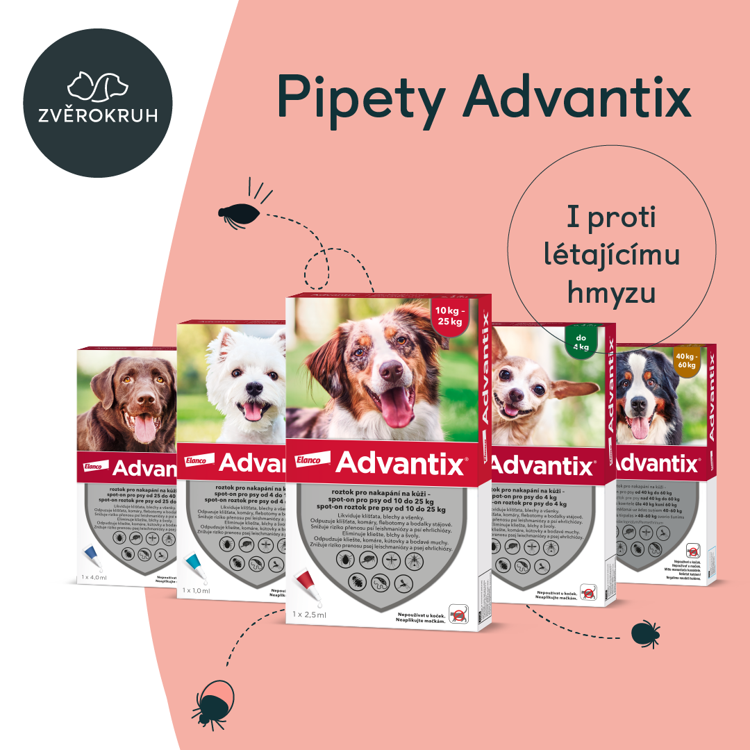 Genießen Sie den Sommer unbeschwert mit ADVANTIX-Pipetten!