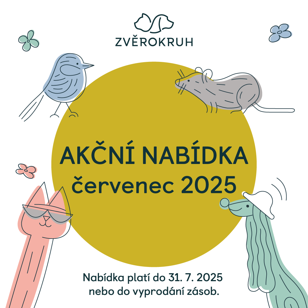 🐾 Літні заходи для собак, котів та гризунів!
