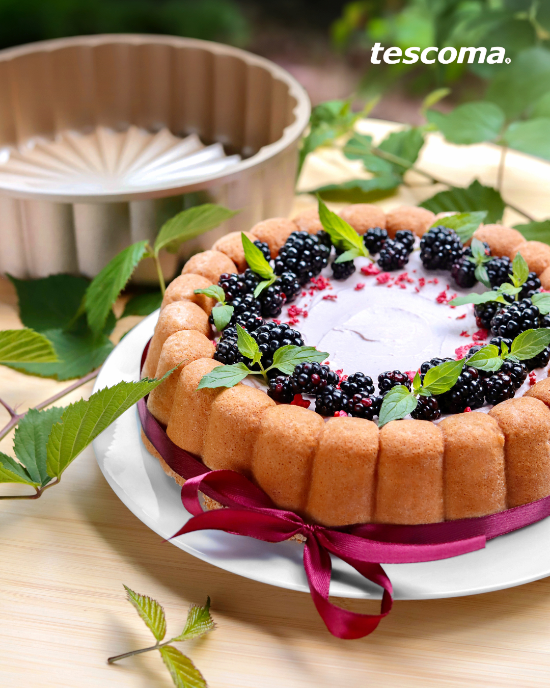 🎉 Дни Marianne в Tescoma!