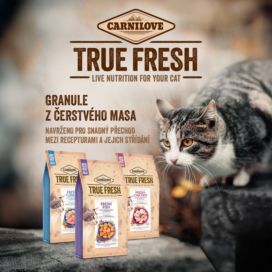 Carnilove True Fresh – das Beste aus der Natur für Ihre Katzen! 🐈