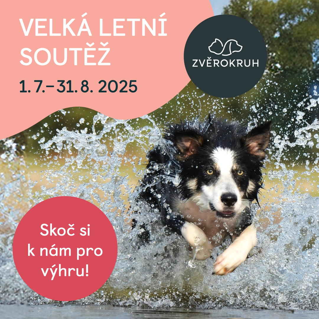 🐾 Großes Sommergewinnspiel bei Zvěrokruh!