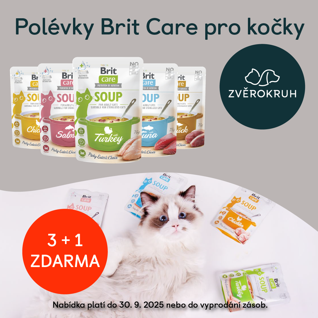 September-Angebote im Zvěrokruh! 🐾