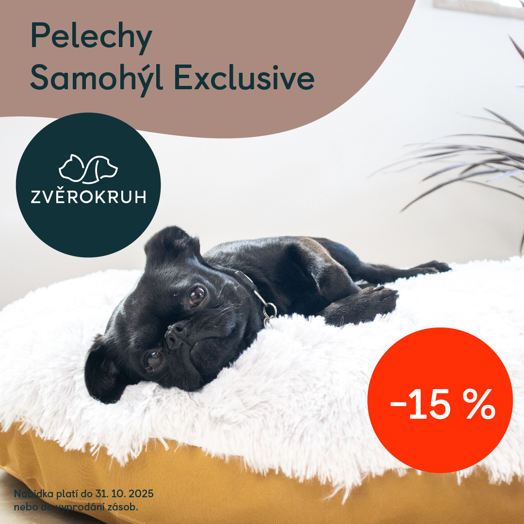 🎉 ЗНИЖКА 15% на лежаки для собак та котів! 🎉