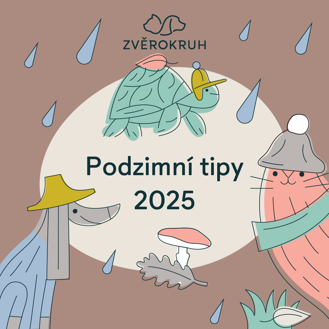 Autumn Tips & News for Your Pets from Zvěrokruh 🐾