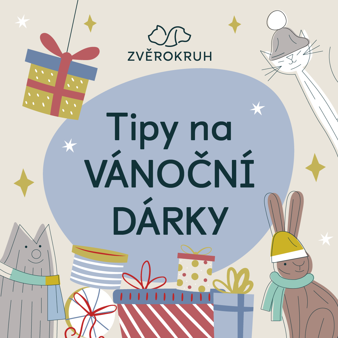 🎄 Подарунки для домашніх улюбленців на Різдво