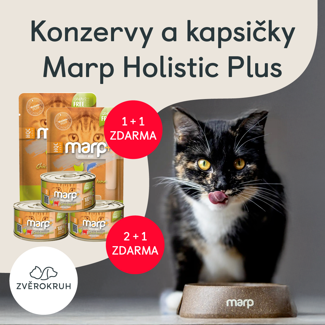 Special offer