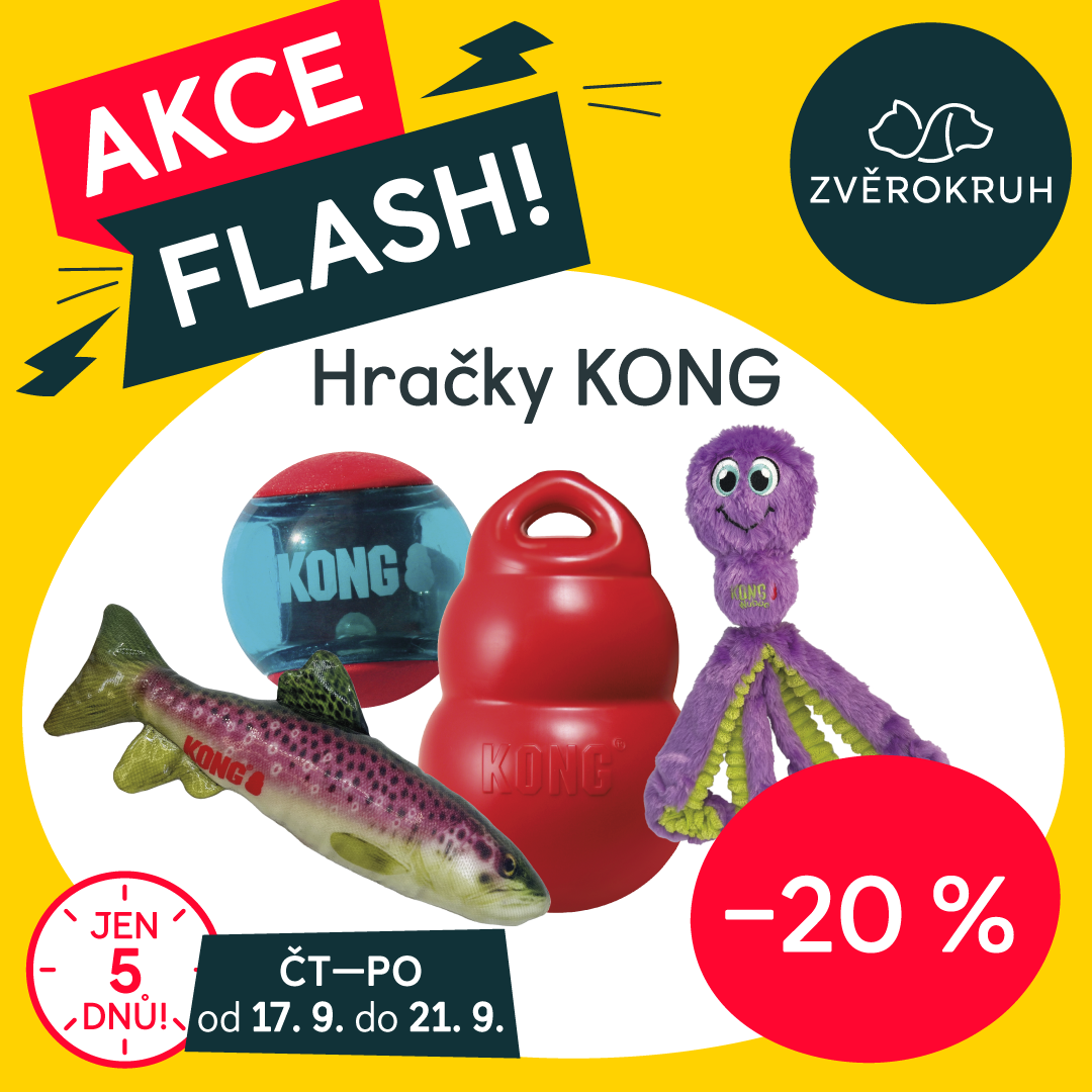 Flash Sale: 20% off KONG toys!