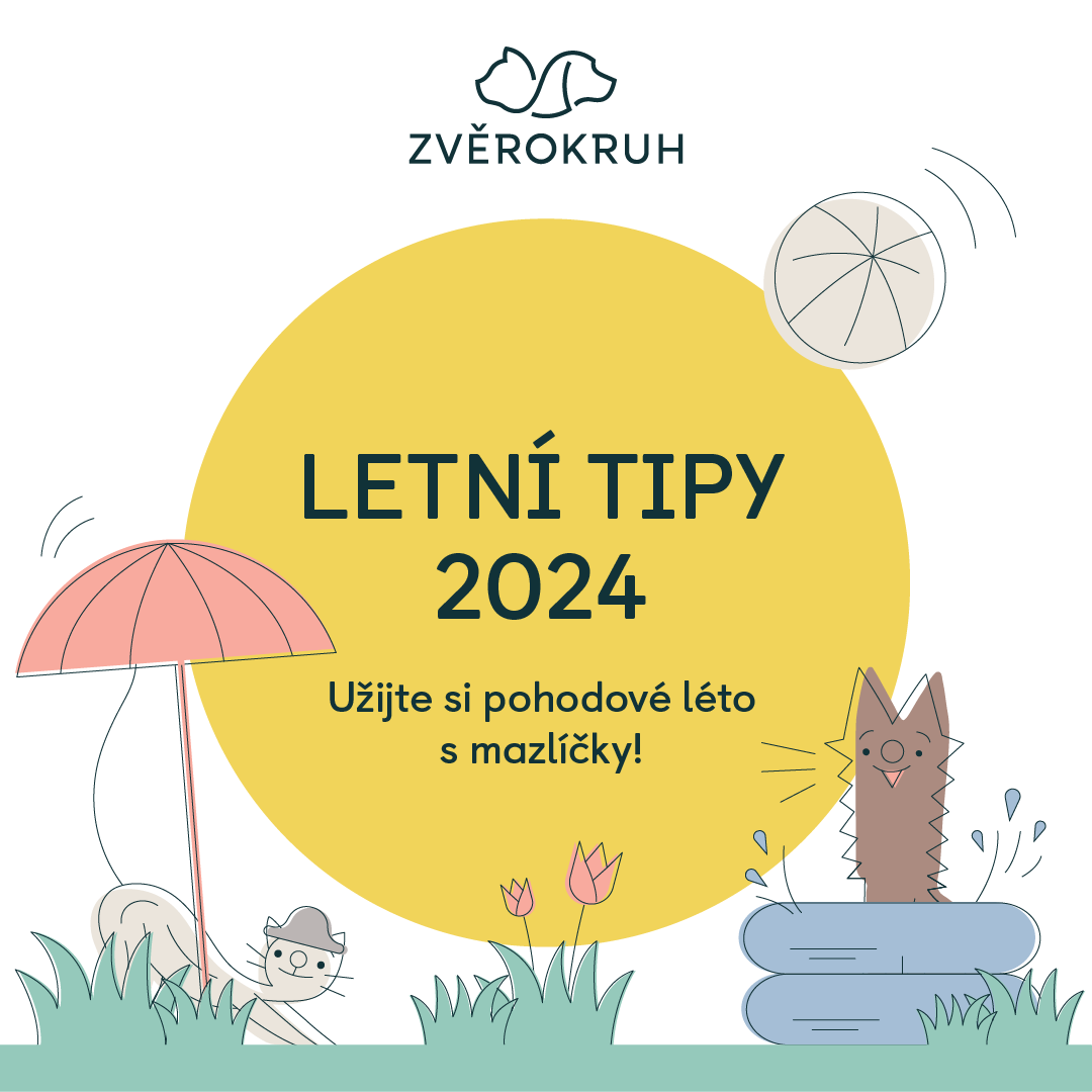 ZODIAC Tips for Summer 2024!