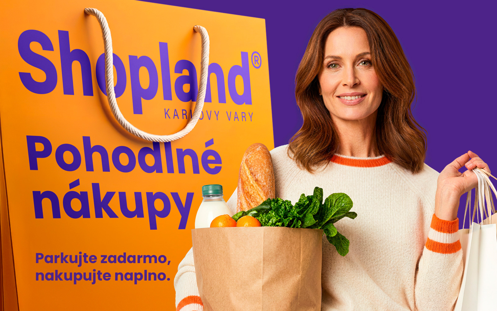 Shopland