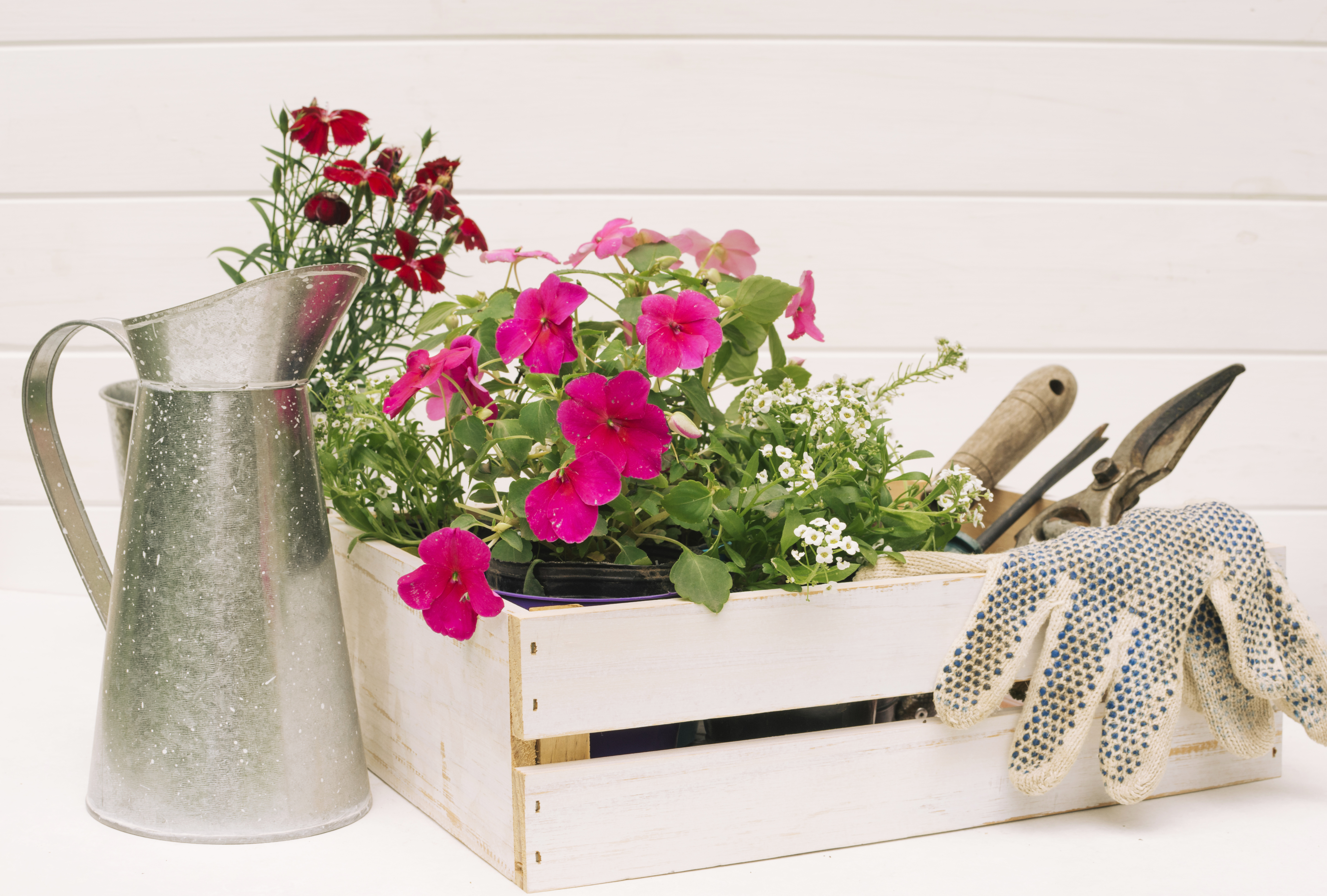 Zahradnické nářadí a květiny u zdi