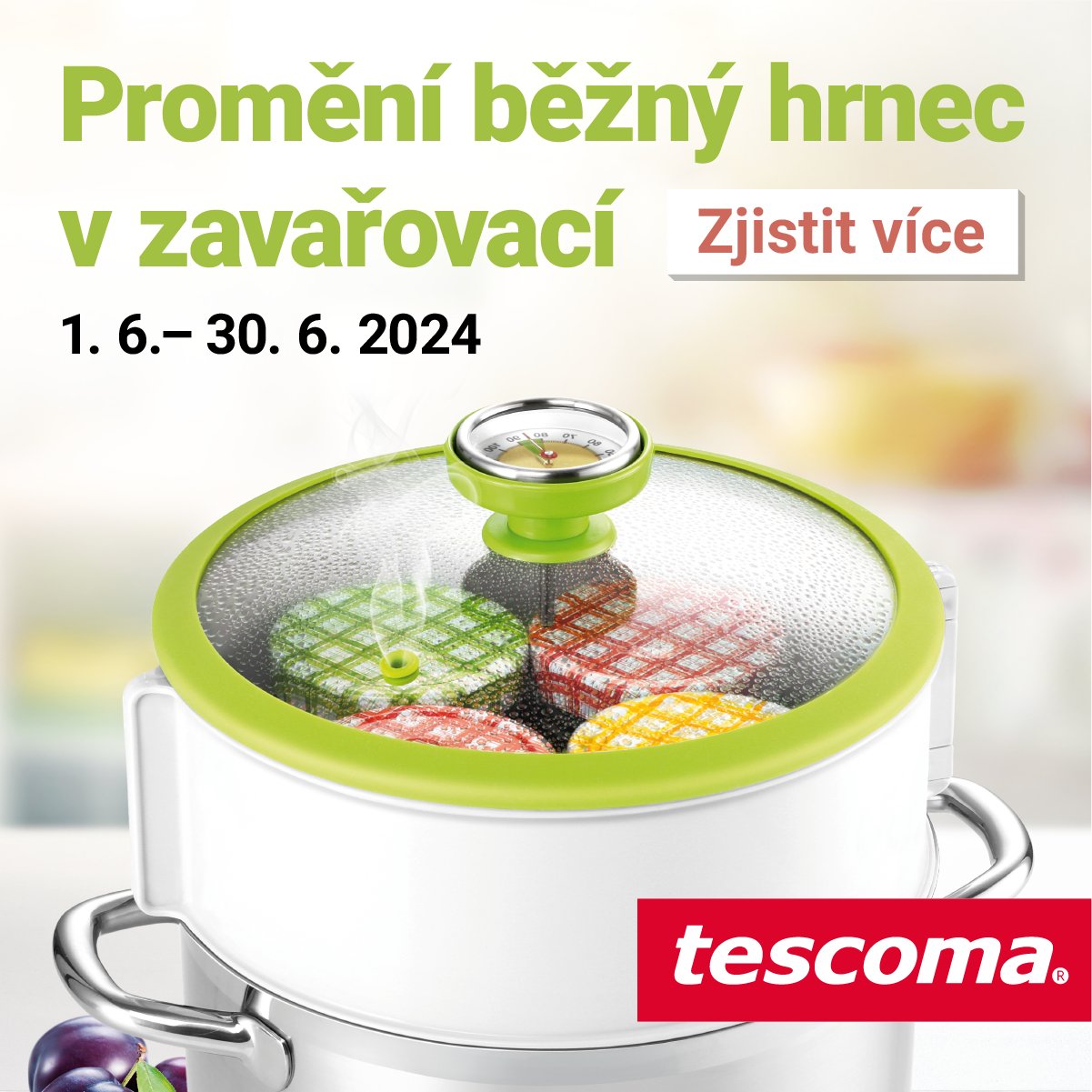 Specjalna oferta na czerwiec